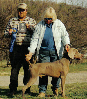 DC Sir Anthony&rsquo;s Jake of Sanbar NAJ,NJP,VX (Jake)