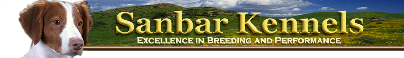 Sanbar Kennels